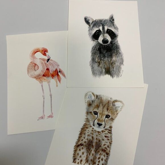 3 Set 8.5x11" Animal Pictures - Picture 1 of 6